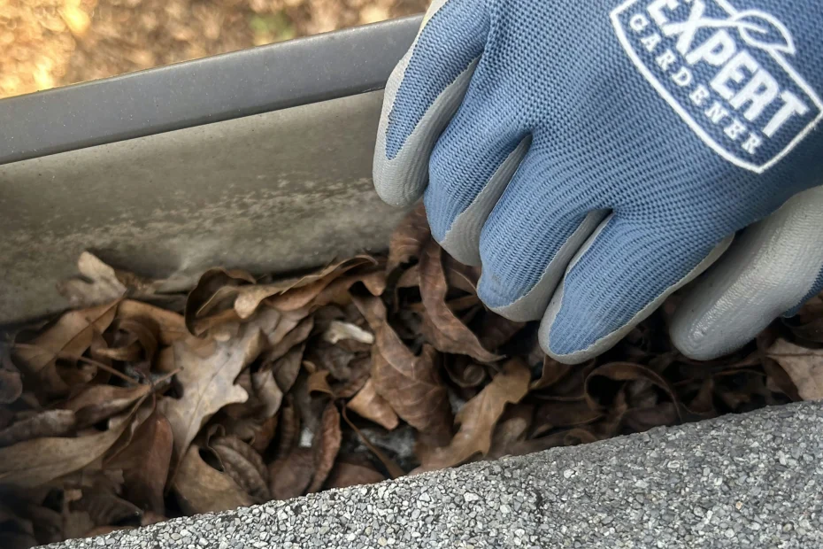 Gutter Cleaning West Columbia