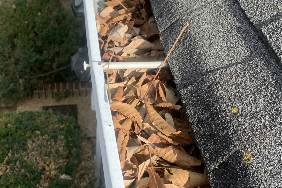 Gutter Cleaning West Columbia