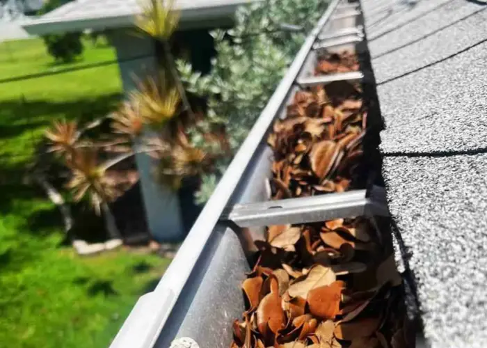 Gutter Cleaning West Columbia home page